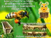 Пчёлы Карпатка. Пчелопакеты.Пчелиные плодные матки Днепр фото 