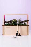 EcoBloom Smart Garden Розумний сад вдома Днепр фото 2