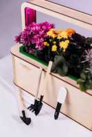 EcoBloom Smart Garden Розумний сад вдома Днепр фото 3