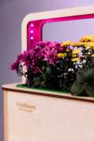 EcoBloom Smart Garden Розумний сад вдома Днепр фото 4