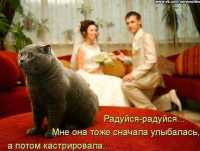 Ветеринарные услуги в Днепре – Вызов на дом, Уход, Операции Днепр фото 2